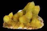 Sunshine Cactus Quartz Crystal - South Africa #96267-1